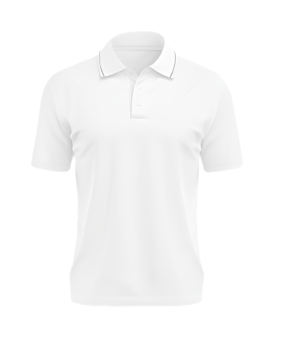 Polor T-shirt